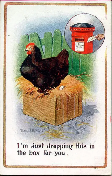 Framed Print : Comic postcard, hen laying an egg, with pillar box inset Date: early 20th century Framed Print : Comic postcard, hen laying an egg, with pillar box inset Date: early 20th century