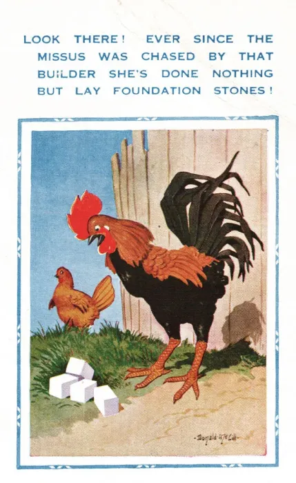 Framed Print : Comic postcard, hen and suspicious cockerel Framed Print : Comic postcard, hen and suspicious cockerel