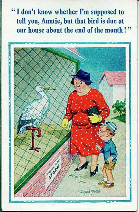 : Comic postcard, Little boy and aunt at the zoo - stork Date: 20th century : Comic postcard, Little boy and aunt at the zoo - stork Date: 20th century