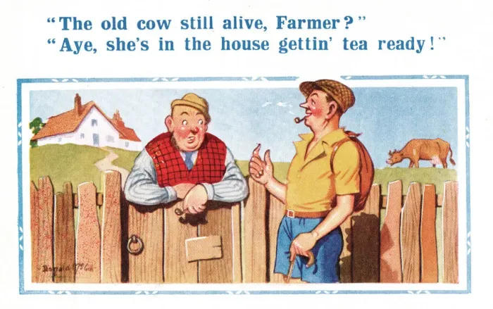 Framed Print : Comic postcard, the old cow Framed Print : Comic postcard, the old cow