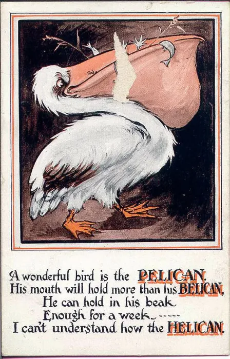 Framed Print : Comic postcard, The Pelican Date: early 20th century Framed Print : Comic postcard, The Pelican Date: early 20th century