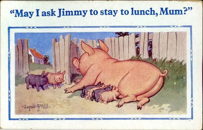 Framed Print : Comic postcard, Piglets at lunchtime Date: 20th century Framed Print : Comic postcard, Piglets at lunchtime Date: 20th century