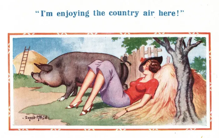 Framed Print : Comic postcard, Pretty young woman and pig Framed Print : Comic postcard, Pretty young woman and pig