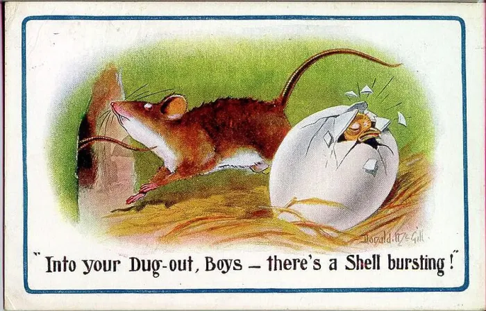 Framed Print : Comic postcard, Rat with hatching egg - shell bursting. Date: 1914-1918 Framed Print : Comic postcard, Rat with hatching egg - shell bursting. Date: 1914-1918
