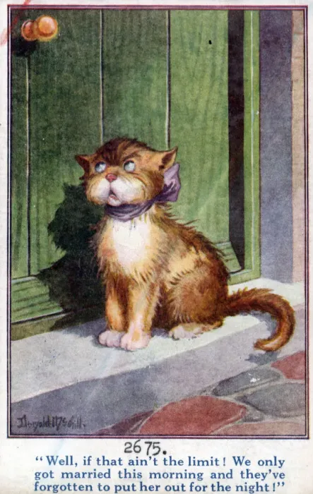 Framed Print : Comic postcard, Tom cat waiting for his partner to be put out for the night Date Framed Print : Comic postcard, Tom cat waiting for his partner to be put out for the night Date