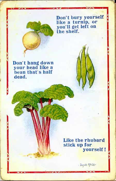 Framed Print : Comic postcard, Turnip, beans and rhubarb Framed Print : Comic postcard, Turnip, beans and rhubarb