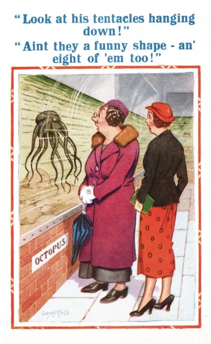 Framed Print : Comic postcard, two women discuss an octopus Date: 20th century Framed Print : Comic postcard, two women discuss an octopus Date: 20th century