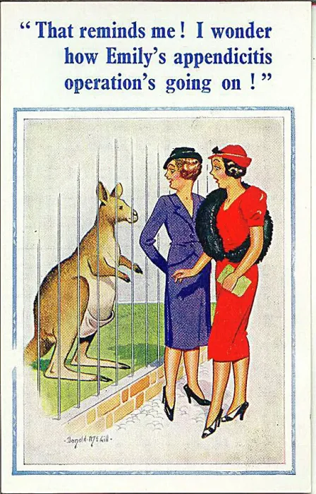 : Comic postcard, Two women at the zoo see kangaroo Date: 20th century : Comic postcard, Two women at the zoo see kangaroo Date: 20th century