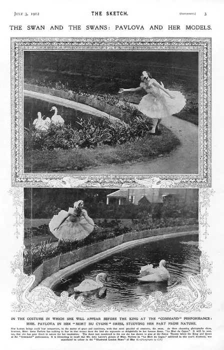 Framed Print : Command Death Swan Dance Dancing Dances Dancer Framed Print : Command Death Swan Dance Dancing Dances Dancer