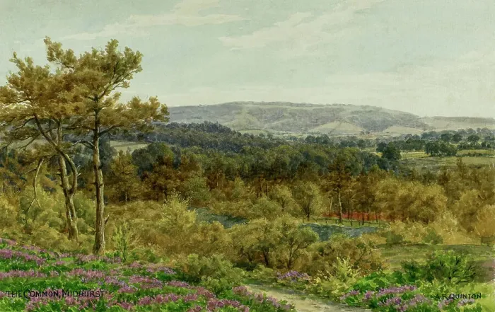 Framed Print : The Common, Midhurst, Sussex Framed Print : The Common, Midhurst, Sussex