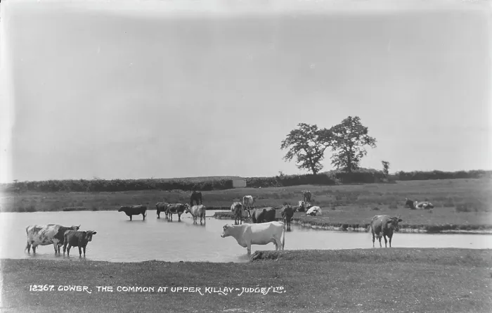 Framed Print : The Common at Upper Killay Framed Print : The Common at Upper Killay