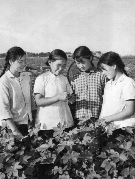 Framed Print : Communist China - agricultural training