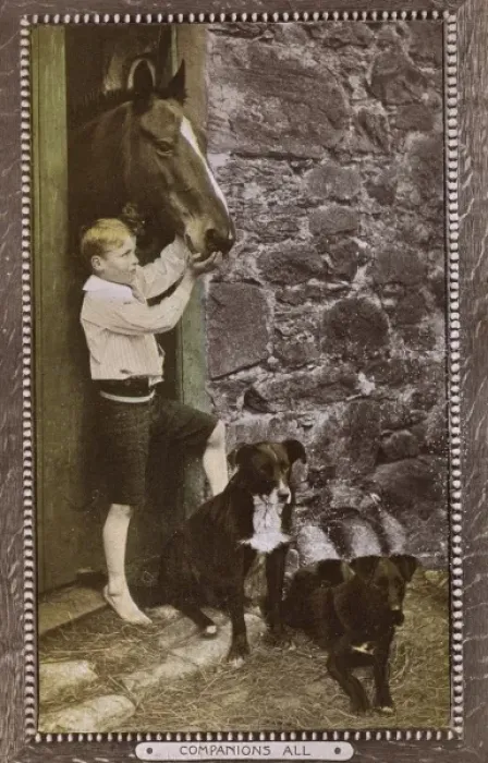 Framed Print : Companions All - Boy with Horse and pet dogs Framed Print : Companions All - Boy with Horse and pet dogs