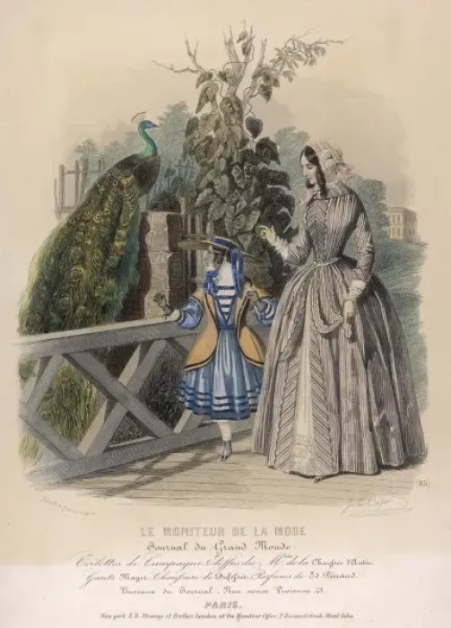 Framed Print : Competing with Peacock Framed Print : Competing with Peacock