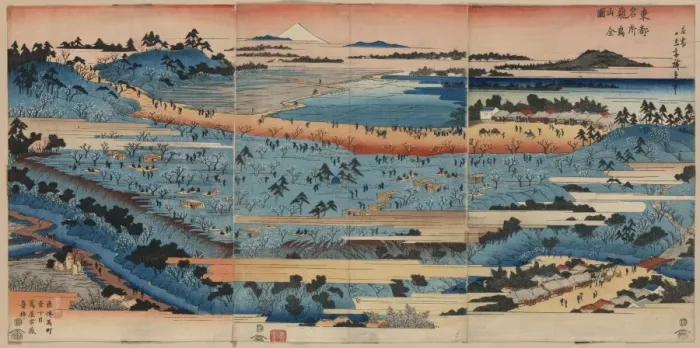 Framed Print : A complete view of Asukayama Framed Print : A complete view of Asukayama