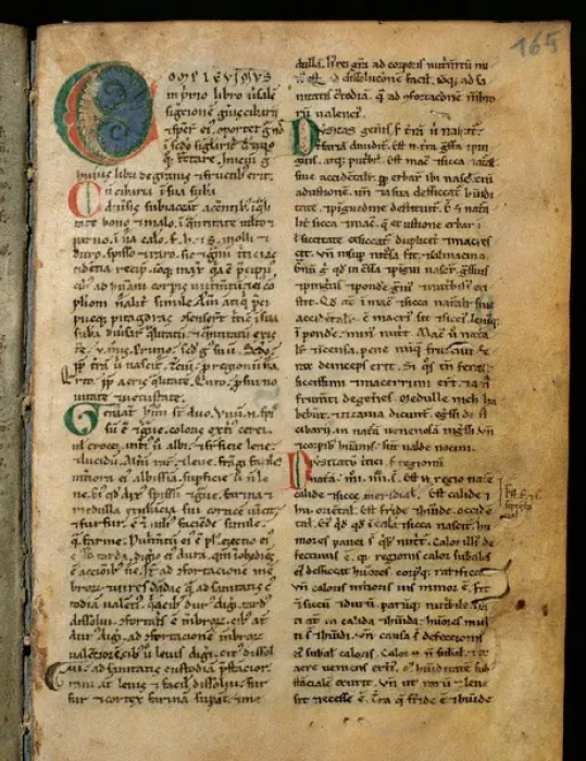Framed Print : Complevimus Dietetica. Incunabula Framed Print : Complevimus Dietetica. Incunabula