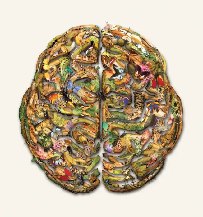Framed Print : Composite brain picture Framed Print : Composite brain picture