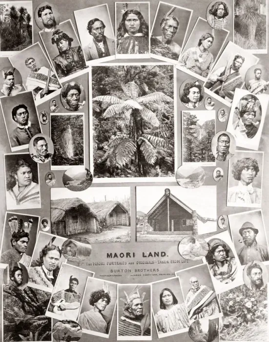 Framed Print : Composite of Maori images by Burton Bros photographers in Dunedin New Zealand c. 1890 Framed Print : Composite of Maori images by Burton Bros photographers in Dunedin New Zealand c. 1890