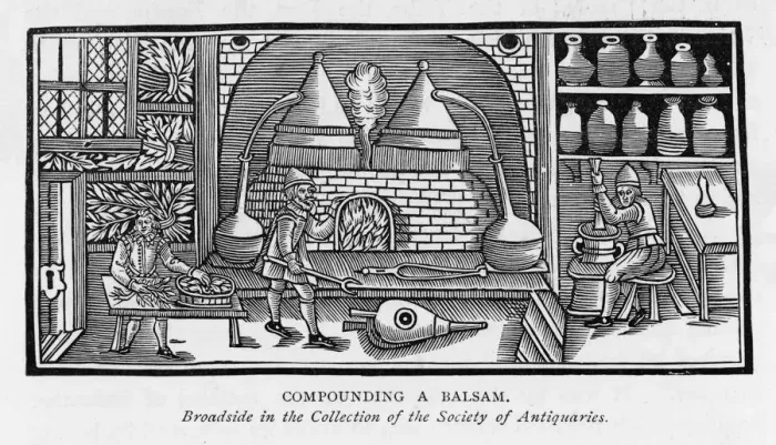 Framed Print : Compounding a Balsam Framed Print : Compounding a Balsam
