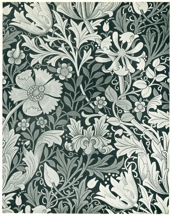 Framed Print : Compton Chintz Framed Print : Compton Chintz