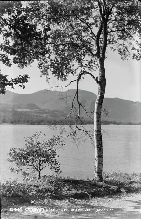 Framed Print : Comston Lake from Nibthwaite Framed Print : Comston Lake from Nibthwaite