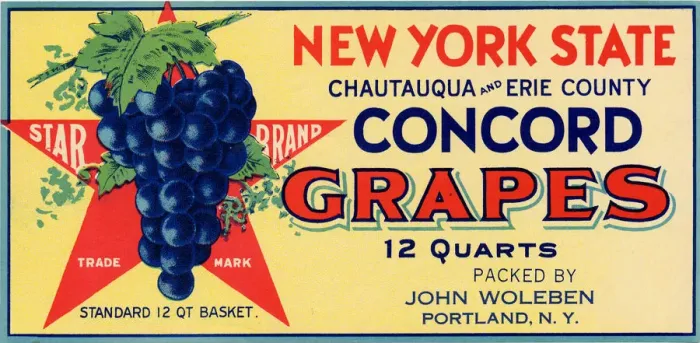 Framed Print : Concord Grape Label Framed Print : Concord Grape Label