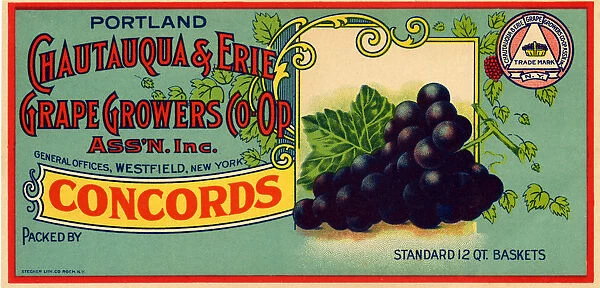Concord Grape Label