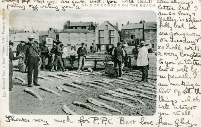 Framed Print : Conger Eels for sale on a beach, Unknown location Framed Print : Conger Eels for sale on a beach, Unknown location