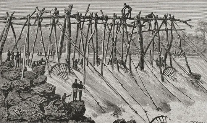 Framed Print : Congo. Fishermen Wagenya preparing their wooden tripods Framed Print : Congo. Fishermen Wagenya preparing their wooden tripods