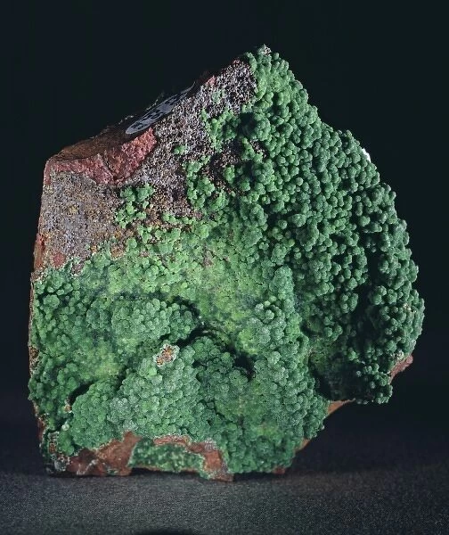 Conichalcite. A specimen of the mineral conichalcite (calcium copper arsenate hydroxide)