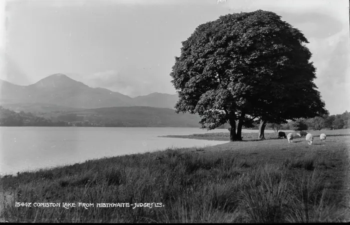 Framed Print : Coniston Lake from Nibthwaite Framed Print : Coniston Lake from Nibthwaite