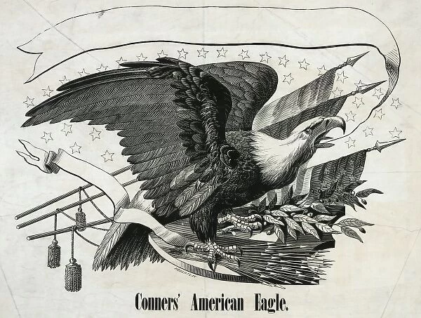 Conners American eagle
