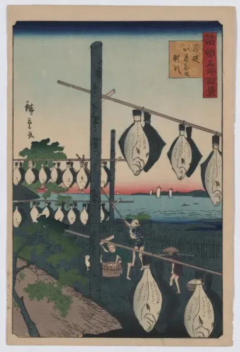 Framed Print : Conquered Wakasa dried flatfish Framed Print : Conquered Wakasa dried flatfish