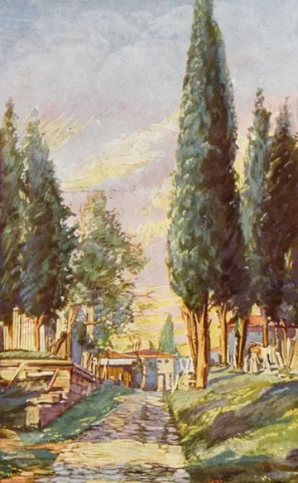 Framed Print : Constantinople - Cemetery at Eyoub Framed Print : Constantinople - Cemetery at Eyoub