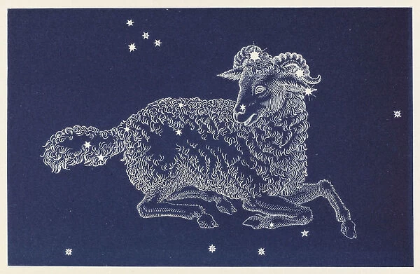 Aries. The Constellation Aries