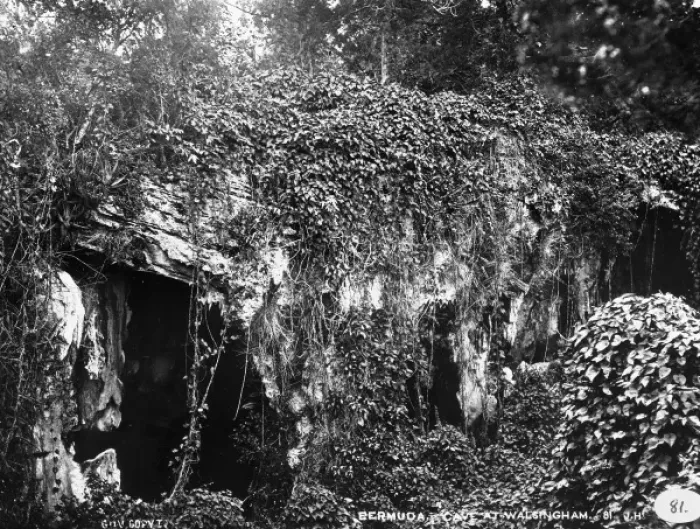 Framed Print : Convolvulus Cave at Walsingham, Bermuda 1873 Framed Print : Convolvulus Cave at Walsingham, Bermuda 1873