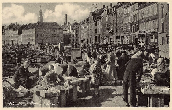 Copenhagen, Denmark - Gammel Strand - The Fish Market