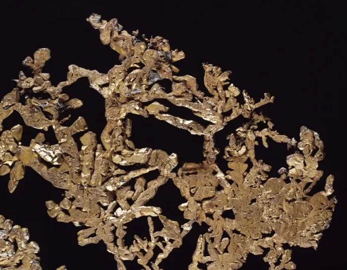 Framed Print : Copper is an elemental metal. Seen here is a dendritic or branching native copper specimen Framed Print : Copper is an elemental metal. Seen here is a dendritic or branching native copper specimen