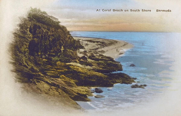 Coral Beach - South Shore, Bermuda - Western Atlantic