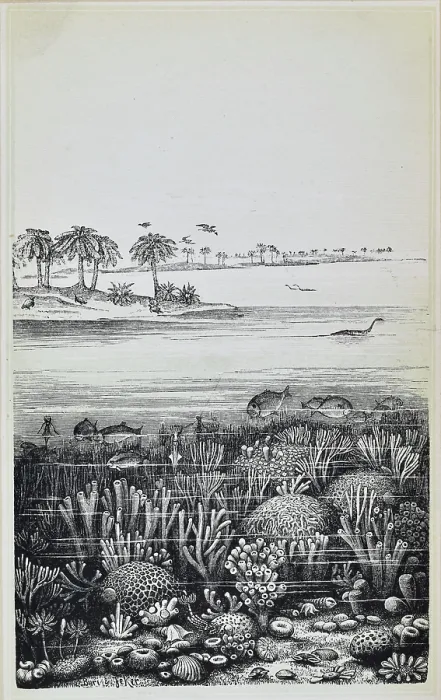 Framed Print : The coral islands of the Jura (Jurassic) Framed Print : The coral islands of the Jura (Jurassic)