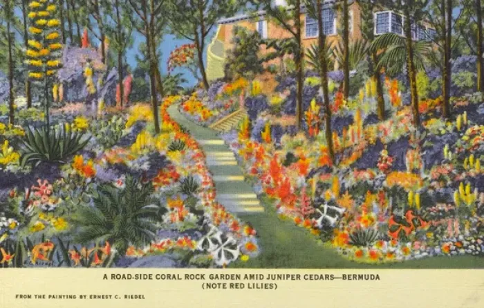 Framed Print : Coral Rock Garden - Bermuda Framed Print : Coral Rock Garden - Bermuda