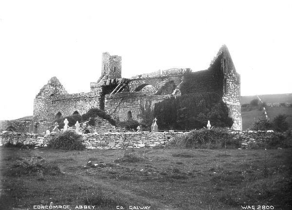 Corcomroe Abbey, Co. Galway