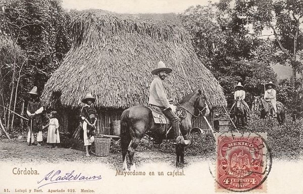 Cordoba, Mexico - A coffee plantation and the owner