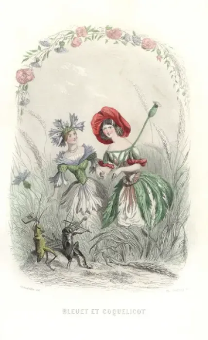 Framed Print : Cornflower and poppy flower fairies Framed Print : Cornflower and poppy flower fairies