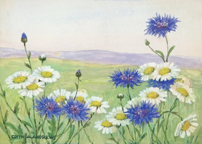 Framed Print : Cornflowers and daisies - Gardens Framed Print : Cornflowers and daisies - Gardens