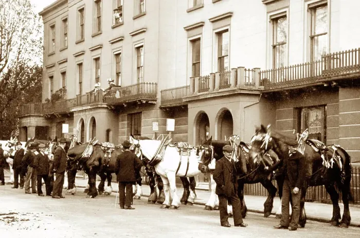 Framed Print : Corporation Carthorse Parade, Leamington Spa, early 1900s Framed Print : Corporation Carthorse Parade, Leamington Spa, early 1900s