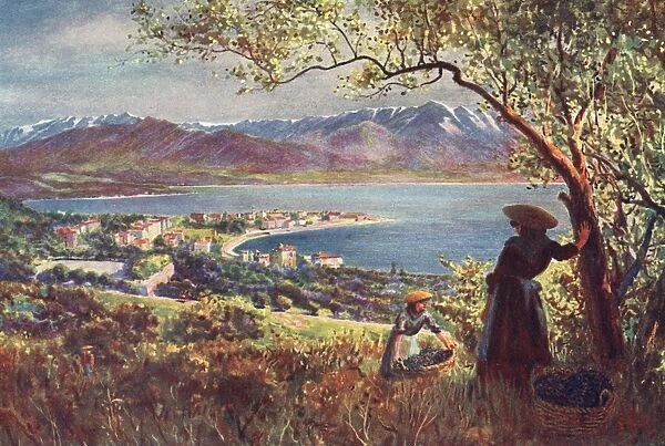 Corsica  /  Ajaccio 1909