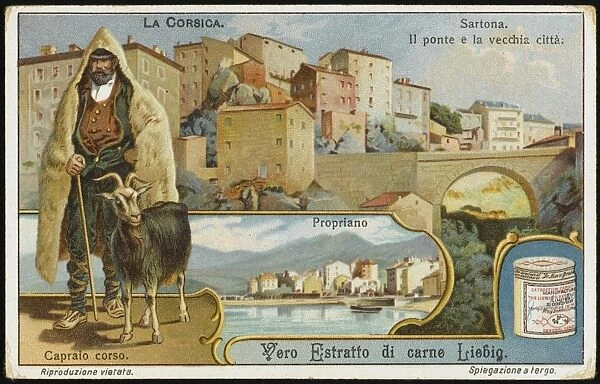 Corsica  /  Sartona  /  Liebig