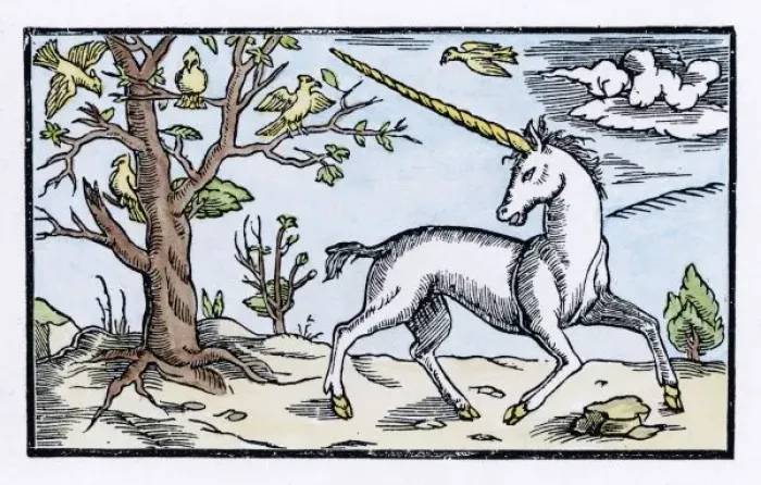 Framed Print : Cosmographia Unicorn Framed Print : Cosmographia Unicorn