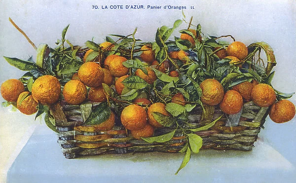 Cote d Azur, France - basket of fresh oranges